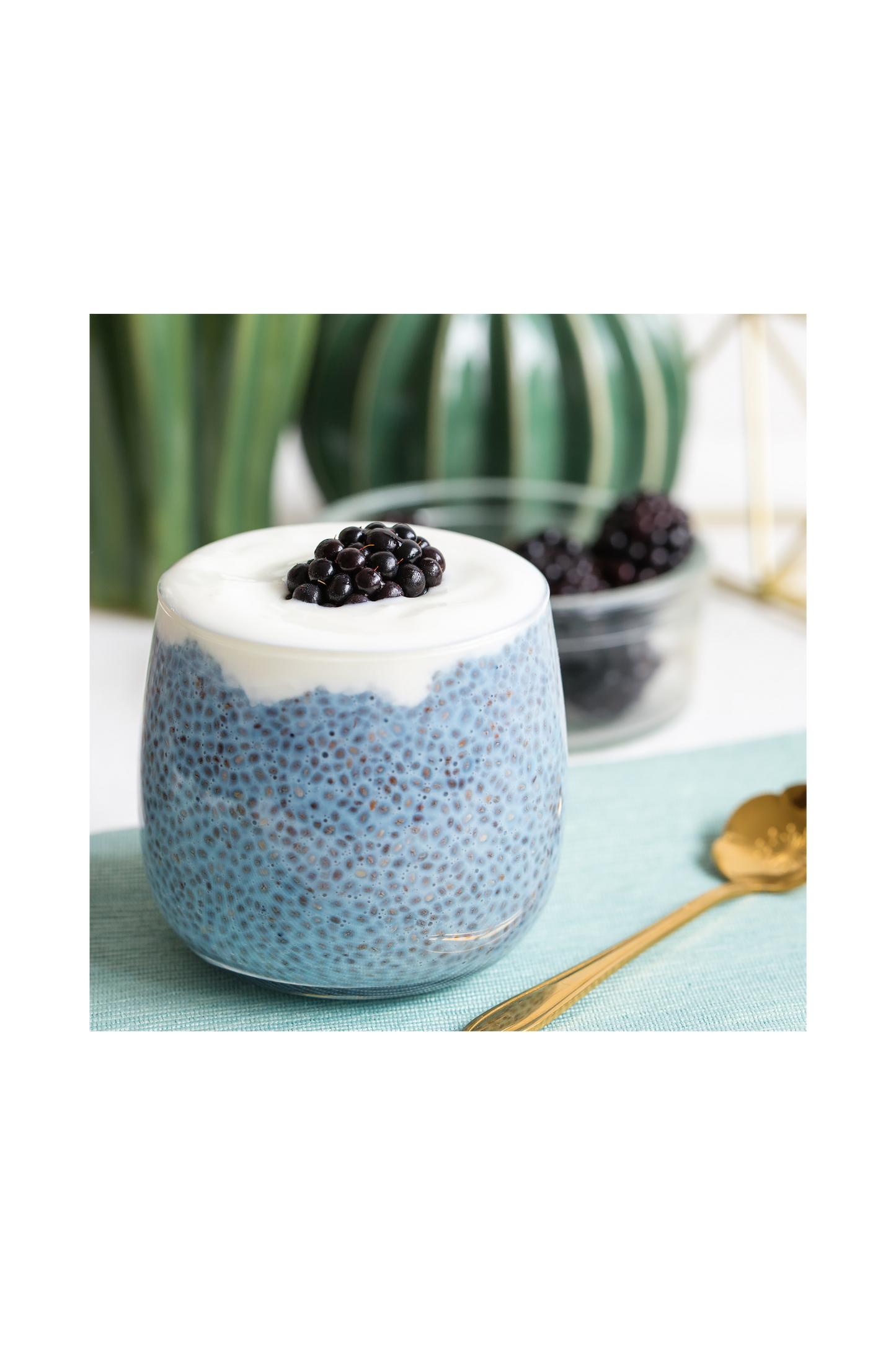 Mûre bio en poudre – Haute dose 10:1