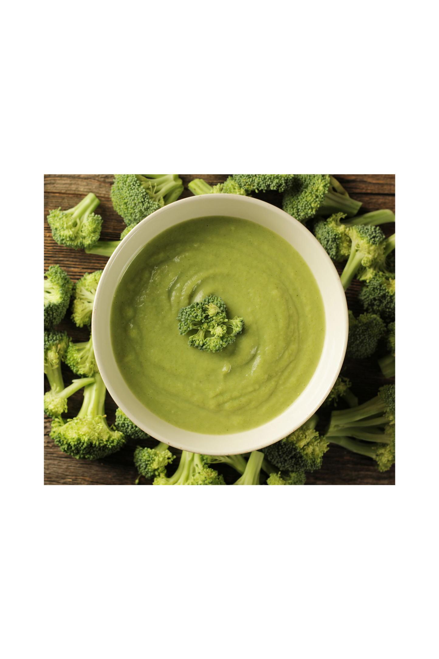 Brocolis biologique en poudre – Haute dose