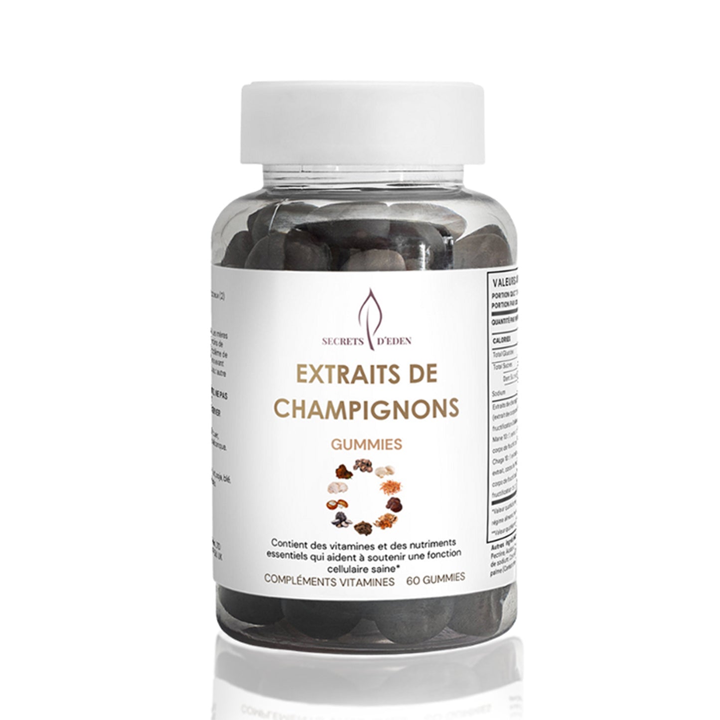 Gummies Extraits de champignons