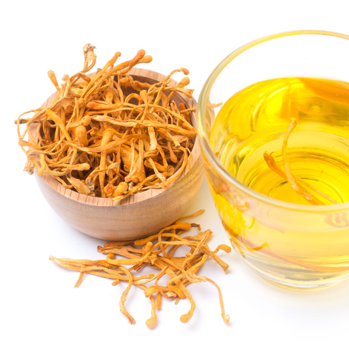 Champignon Cordyceps bio en poudre – Haute dose 10:1