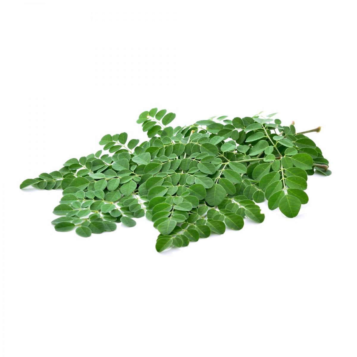 Moringa feuille bio en poudre aux nombreux bienfaits – vente en ligne - SECRETS D'EDEN