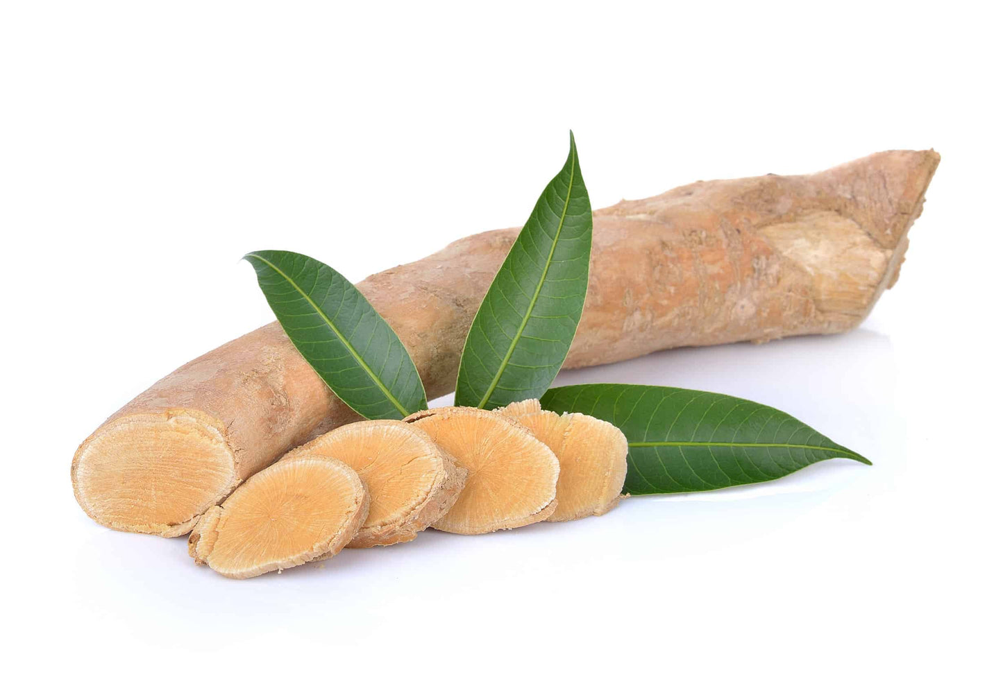 Tongkat Ali en poudre biologique