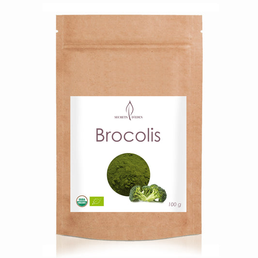 Brocolis biologique en poudre – Haute dose