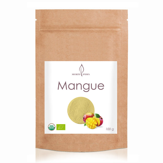 Mangue bio en poudre – Haute dose 10:1