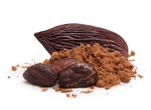 Cacao en poudre